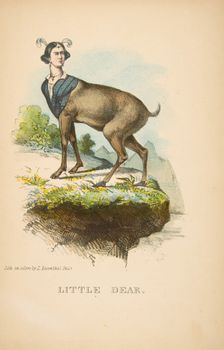 Little Dear, from The Comic Natural History of the Human Race, 1851. Creators: Henry Louis Stephens, L. Rosenthal