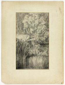 Little Pond in Woods, n.d. Creator: Unknown
