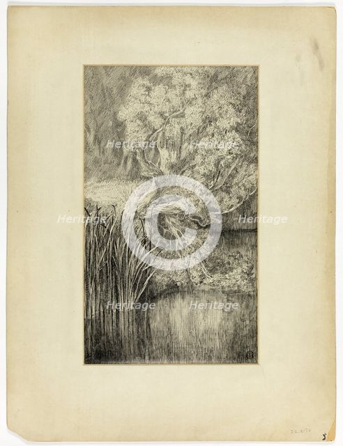 Little Pond in Woods, n.d. Creator: Unknown.