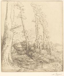 Little Pond (La petite mare). Creator: Alphonse Legros
