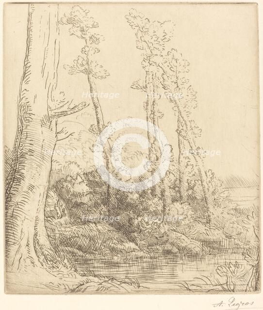 Little Pond (La petite mare). Creator: Alphonse Legros.