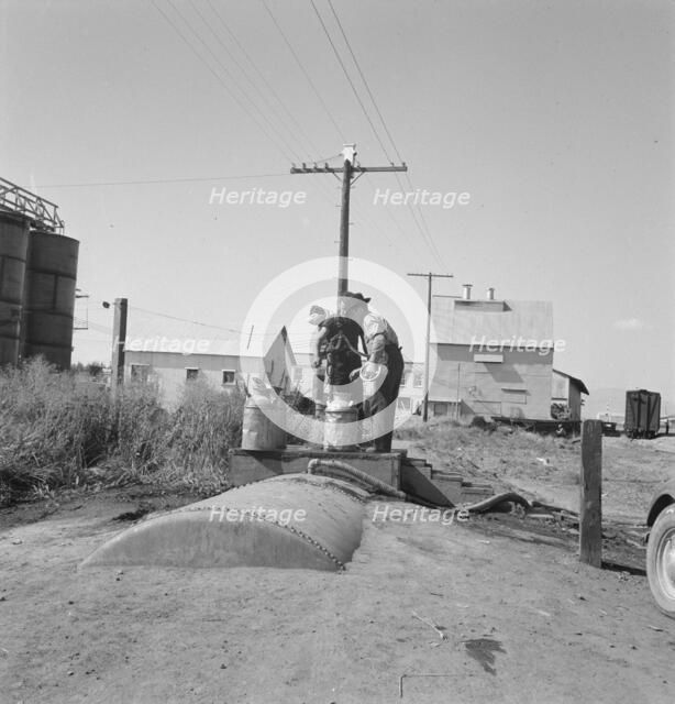 Living conditions for migrant potato pickers, Siskiyou County, California, 1939. Creator: Dorothea Lange.