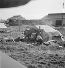 Living conditions for migrant potato pickers, Siskiyou County, California, 1939. Creator: Dorothea Lange