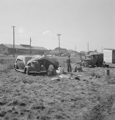 Living conditions for migrant potato pickers, Siskiyou County, California, 1939. Creator: Dorothea Lange