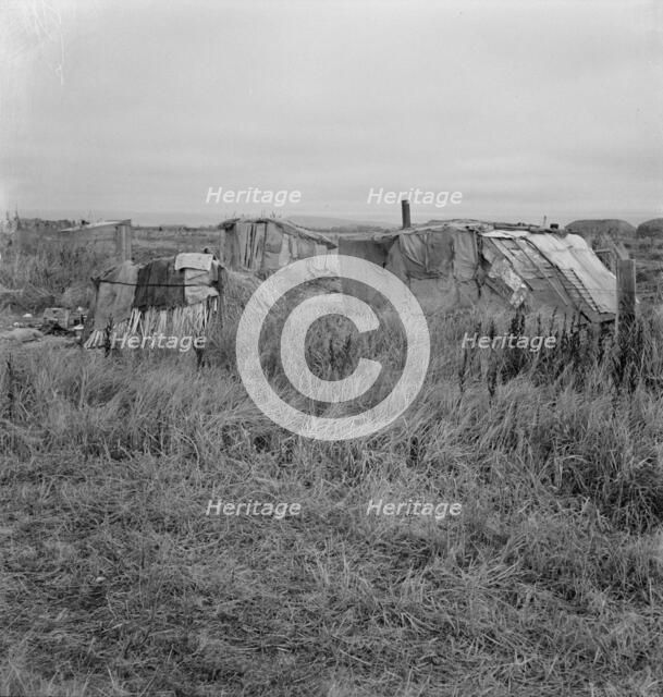 Living conditions for migrant potato pickers, Tulelake, Siskiyou County, California, 1939. Creator: Dorothea Lange.
