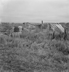 Living conditions for migrant potato pickers, Tulelake, Siskiyou County, California, 1939. Creator: Dorothea Lange