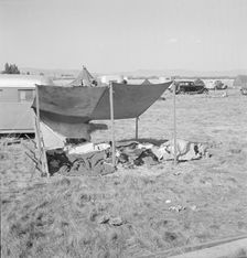 Living conditions for migrant potato pickers, Tulelake, Siskiyou County, California, 1939. Creator: Dorothea Lange
