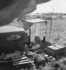 Living conditions for migrant potato pickers, Tulelake, Siskiyou County, California, 1939. Creator: Dorothea Lange