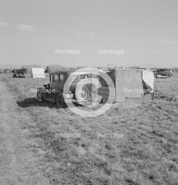 Living conditions for migrant potato pickers, Tulelake, Siskiyou County, California, 1939. Creator: Dorothea Lange.