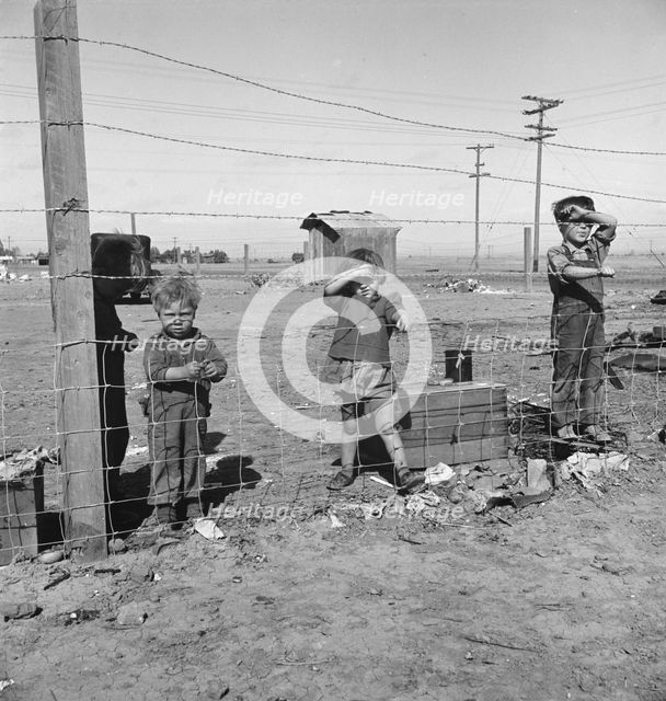 Living conditions for migratory children...during pea harvest, Outskirts of Calipatria, CA, 1939. Creator: Dorothea Lange.