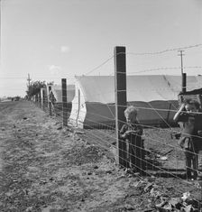 Living conditions for migratory children, pea harvest, outskirts of Calipatria, CA, 1939. Creator: Dorothea Lange