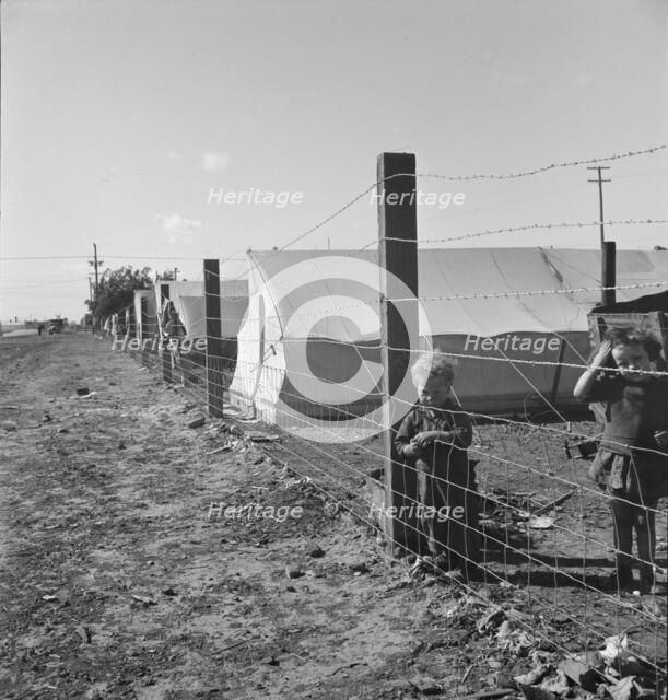 Living conditions for migratory children, pea harvest, outskirts of Calipatria, CA, 1939. Creator: Dorothea Lange.