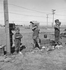 Living conditions for migratory children...during pea harvest, Outskirts of Calipatria, CA, 1939. Creator: Dorothea Lange