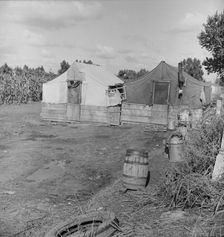 Living conditions of the migrant agricultural workers...Tulare County, 1938. Creator: Dorothea Lange