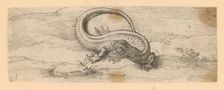 Lizard, 1601/1700. Creator: Unknown