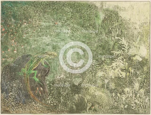 Lizard on a stone, 1878-1917. Creator: Theo van Hoytema.