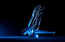 Libellule Lalique mascot, large. Creator: Unknown