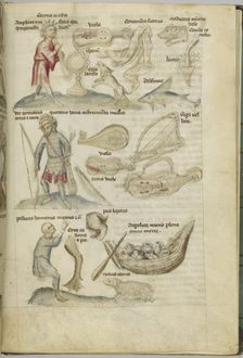Liber Astrologiae