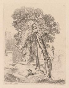 Liber Studiorum: Plate 18, Trees at Norwich Thorp, Norfolk, 1838. Creator: John Sell Cotman (British, 1782-1842)