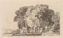 Liber Studiorum: Plate 3, Trees near Twickenham, 1838. Creator: John Sell Cotman (British, 1782-1842)