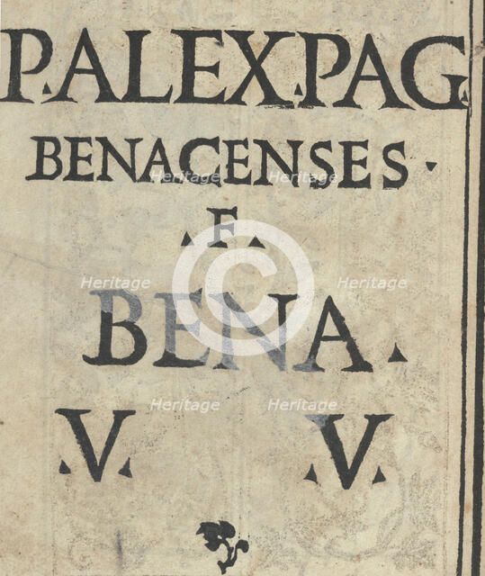 Libro quarto. De rechami per elquale se impara in diuersi modi lordine e il modo de re..., ca. 1532. Creator: Alessandro Paganino.