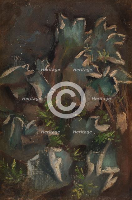 Lichen, sketch for the painting Fairy Tale Princess, c1895-1896. Creator: Torsten Wasastjerna.