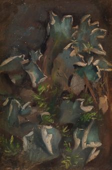 Lichen, sketch for the painting Fairy Tale Princess, c1895-1896. Creator: Torsten Wasastjerna