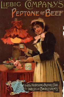 Liebig Company's Peptone of Beef, 19th century