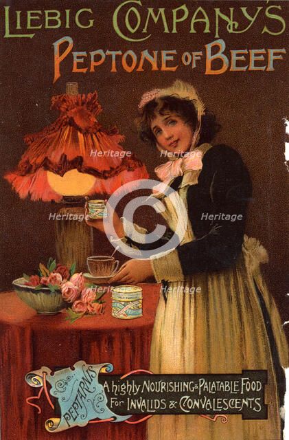 Liebig Company's Peptone of Beef, 19th century. Artist: Unknown