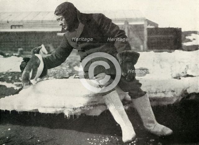 'Lieut. Rennick and a Friendly Penguin', 1911, (1913). Artist: Herbert Ponting.