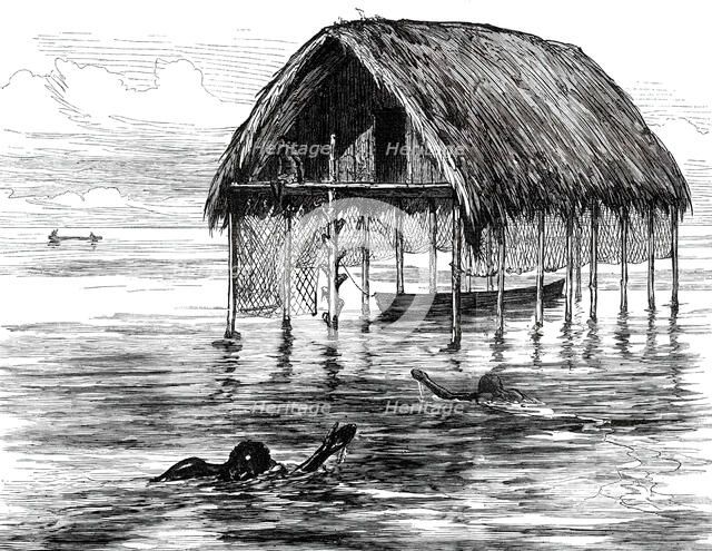 Lieutenant Cameron's Sketches in Central Africa: a lake dwelling on Lake Moheya, 1876. Creator: Unknown.