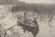 Life and Landscape on the Norfolk Broads, 1885-86., 1885-86. Creator: Dr Peter Henry Emerson