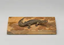 Life Cast of a Lizard, probably 19th century. Creator: Unknown