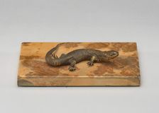 Life Cast of a Lizard, probably 19th century. Creator: Unknown