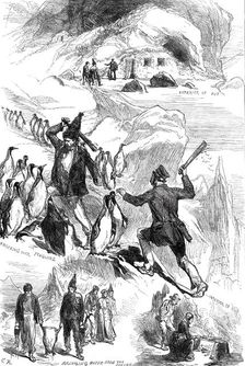 Life on the Crozet Islands, from sketches supplied by Mr. Spencer Joslen, 1876. Creator: C.R.