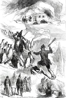Life on the Crozet Islands, from sketches supplied by Mr. Spencer Joslen, 1876. Creator: C.R.