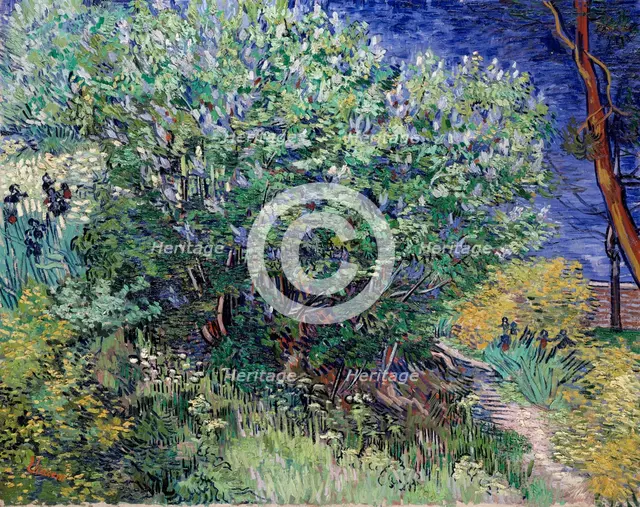 'Lilac Bush', 1889.  Artist: Vincent van Gogh
