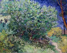 Lilac Bush 1889. Artist: Vincent van Gogh