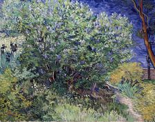 Lilac Bush 1889. Artist: Vincent van Gogh