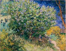 Lilac Bush, 1889. Creator: Vincent van Gogh