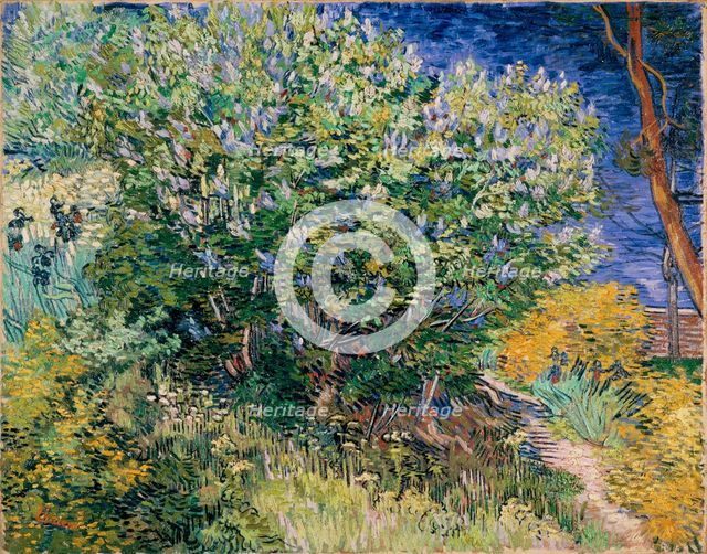 Lilac Bush, 1889. Creator: Vincent van Gogh.