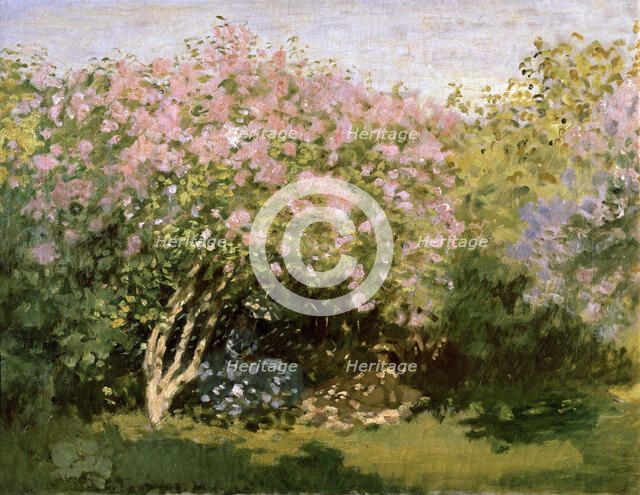 'Lilac in the Sun', 1872-1873.  Artist: Claude Monet