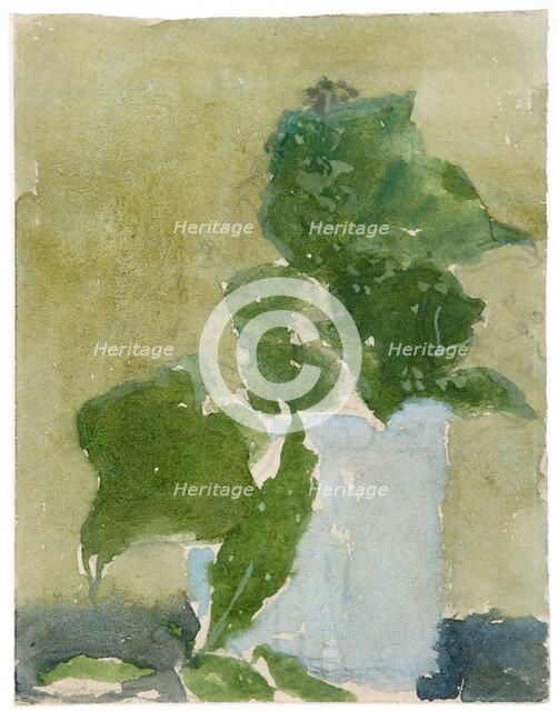 'Lilies of the valley in jug', 1896-1939. Artist: Gwendolen Mary John