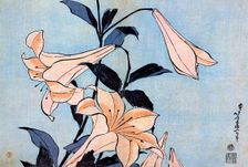 Lilies, c1830. Creator: Hokusai, Katsushika (1760-1849)