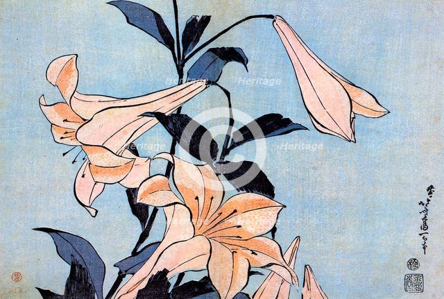 Lilies, c1830.  Creator: Hokusai, Katsushika (1760-1849).