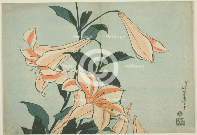 Lilies, from an untitled series of Large Flowers, Japan, c. 1833/34. Creator: Hokusai.