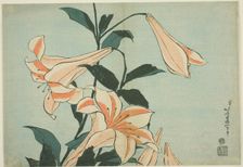 Lilies, from an untitled series of Large Flowers, Japan, c. 1833/34. Creator: Hokusai
