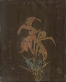 Lilja, 1846. Creator: Magnus von Wright