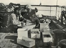 Lillie and Dr. Levick Sorting a Trawl Catch c1910–1913, (1913). Artist: Herbert Ponting