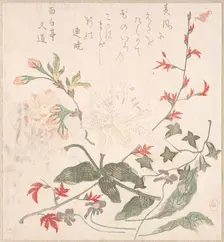 Lily, Violets, Cherry Blossoms, Forsythia, and a Branch of Red Maple, 18th-19th century. Creator: Unknown
